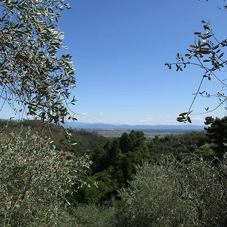Casa Melograno *